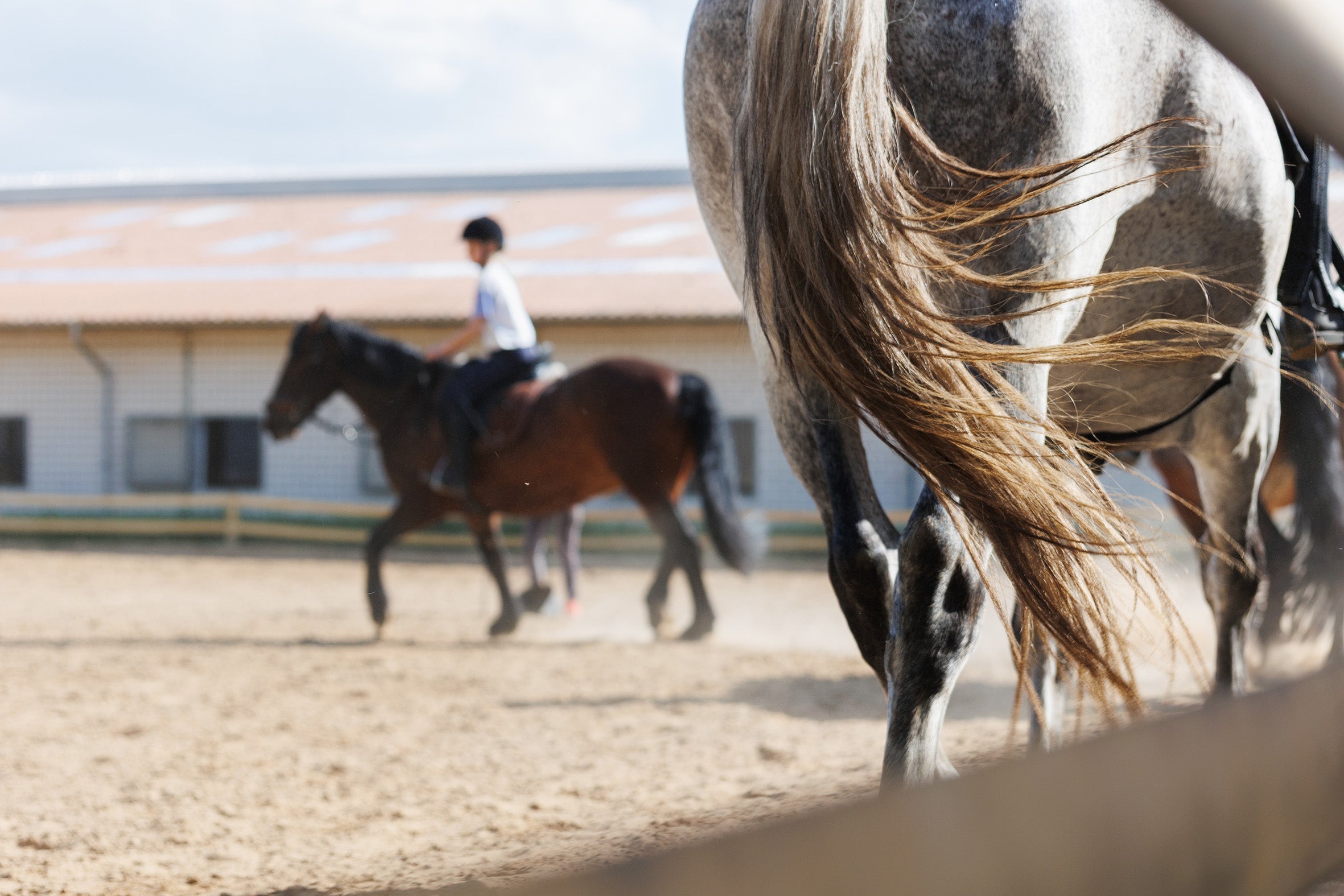 Beginner Horse Riding Gear Checklist for NZ Riders
