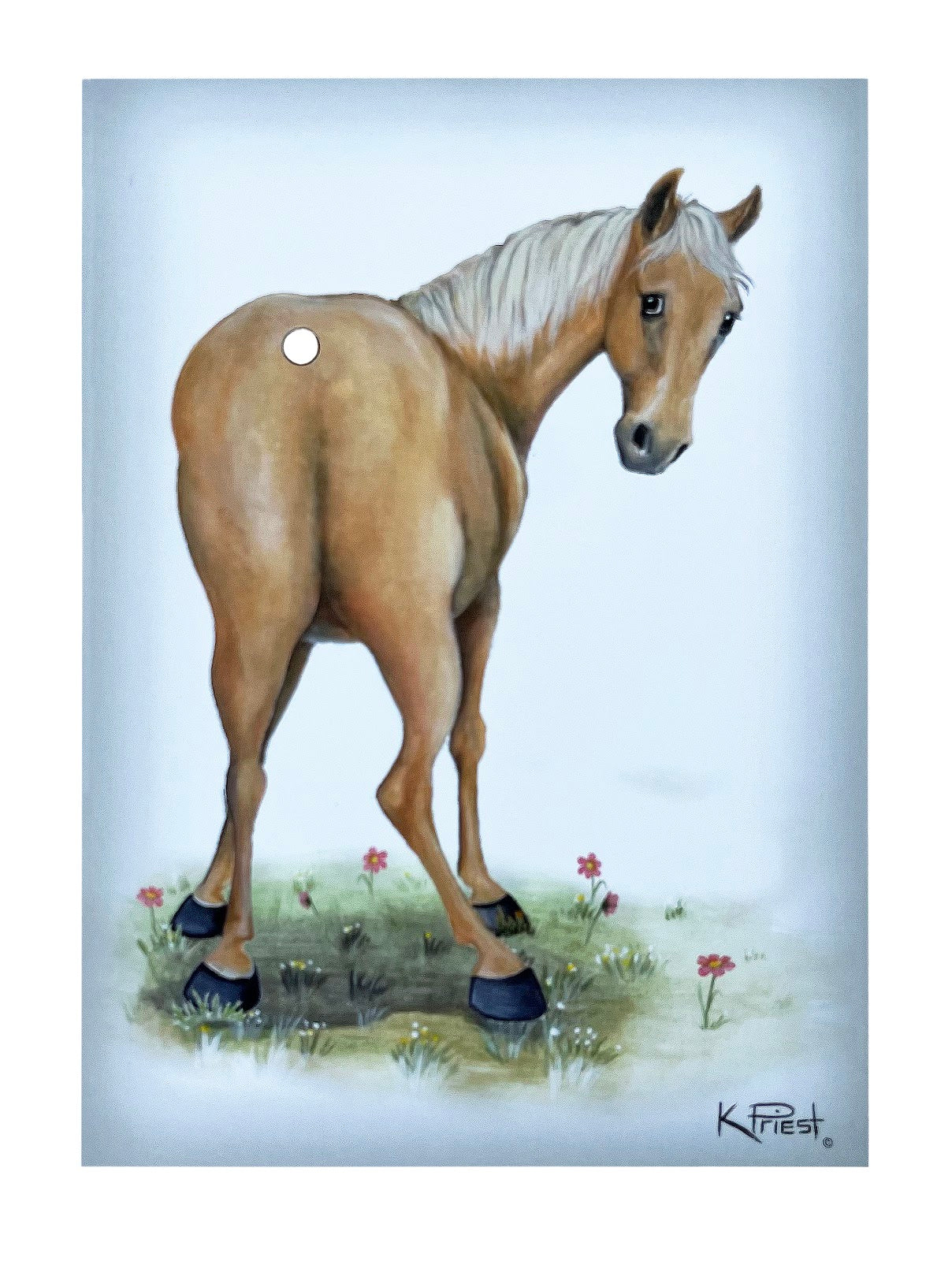 Pony Tail Pictures(Bay Horse)
