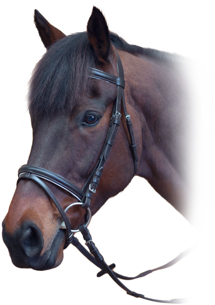 Enzo Hano Raised Bridle