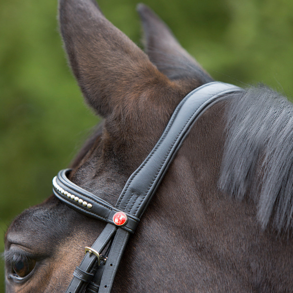Kieffer Snaffle Bridle Ultrasoft