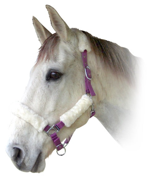 Prima Calf Halter