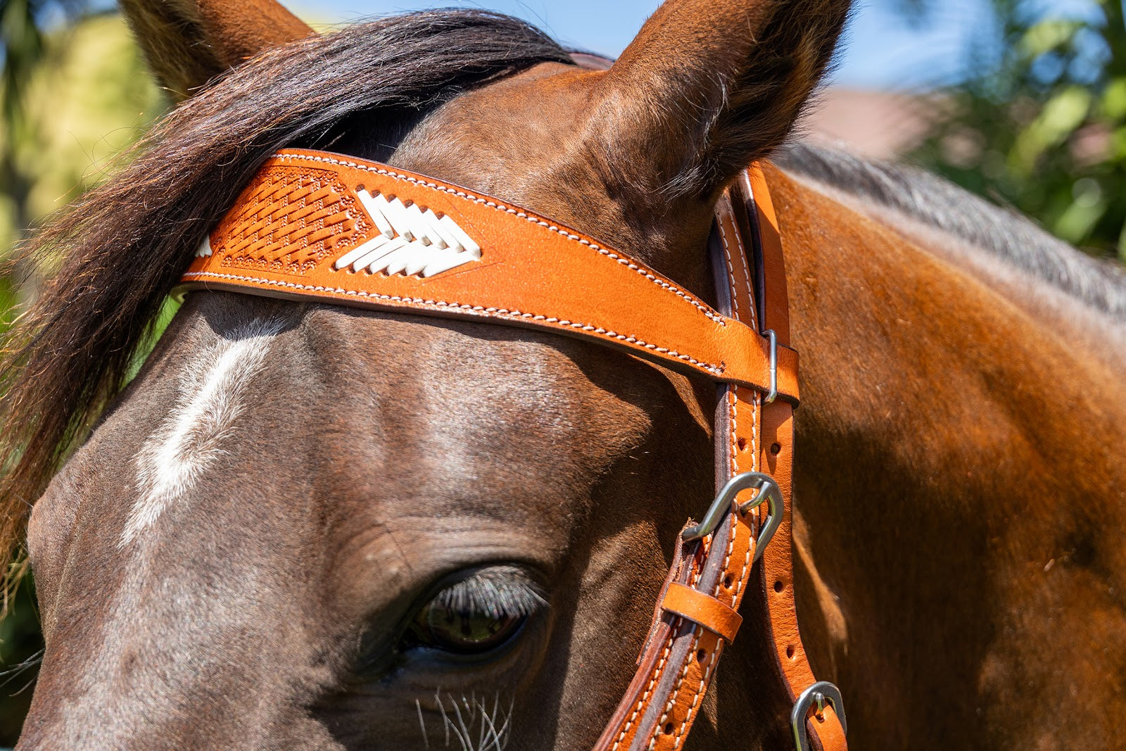 Zilco Headstall Single Ear (Buckstitch)