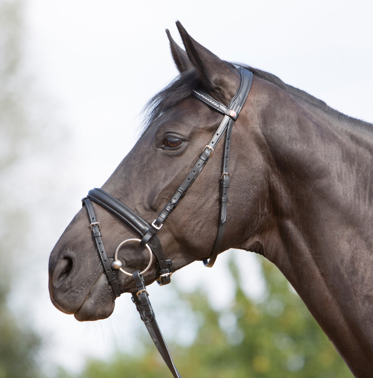 Kieffer Snaffle Bridle Ultrasoft