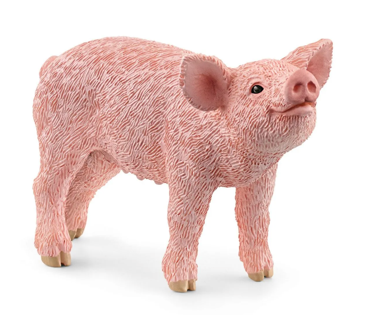 Schleich Mangalica Piglet
