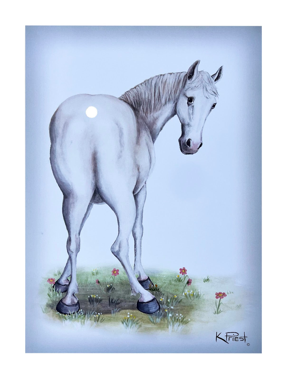 Pony Tail Pictures(Bowing Unicorn)