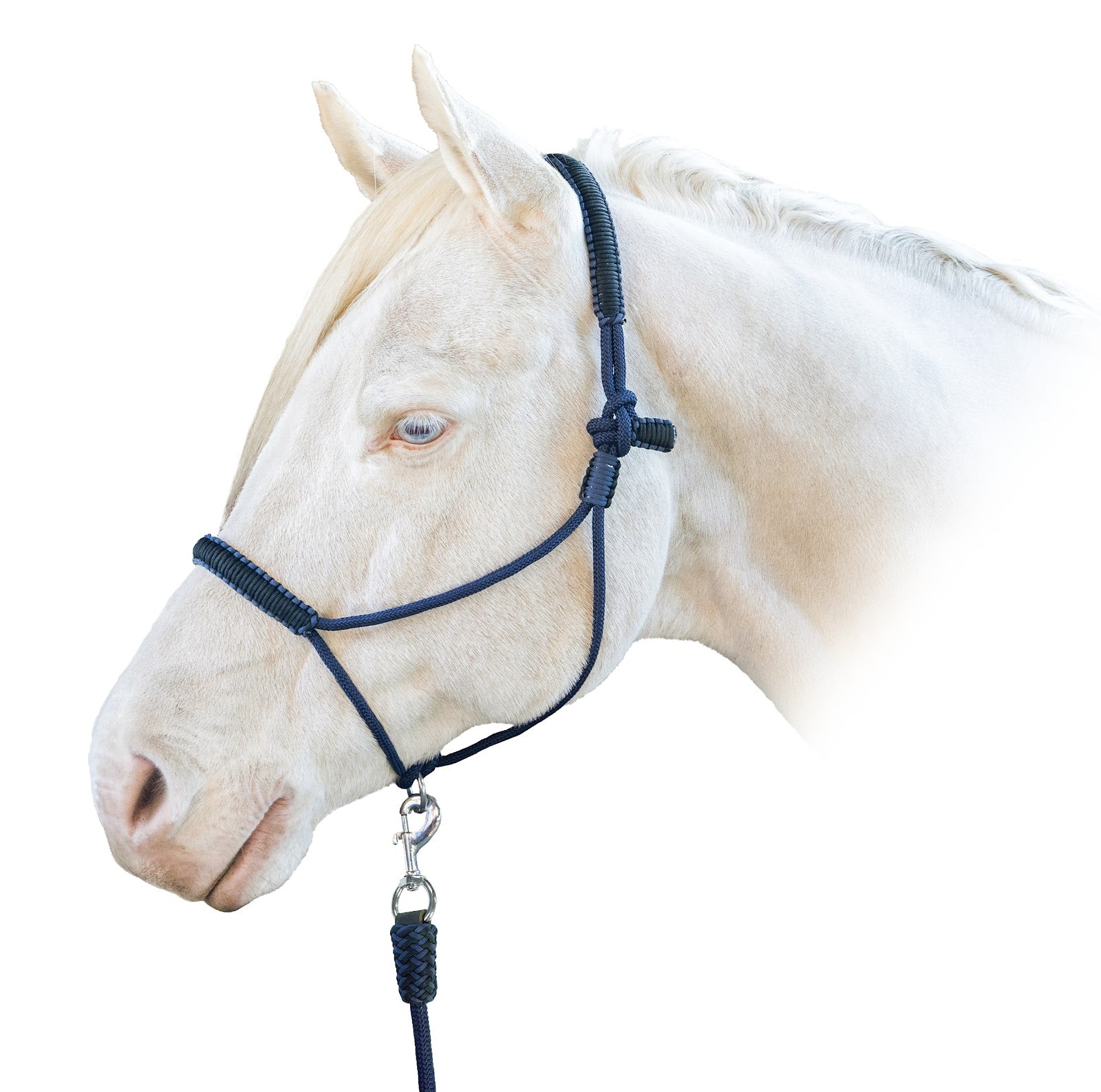 Enzo Braided Rope Halter Set
