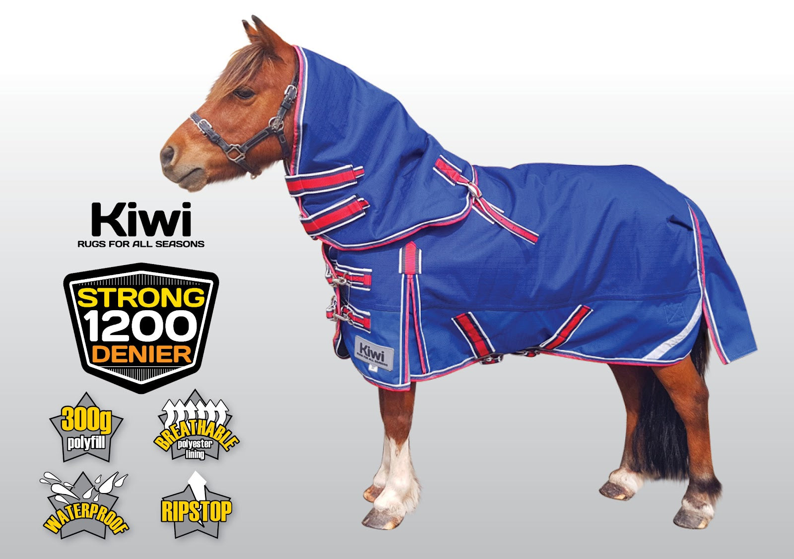 Kiwi 1680 Winter Mini Rug Set 300g (39)%