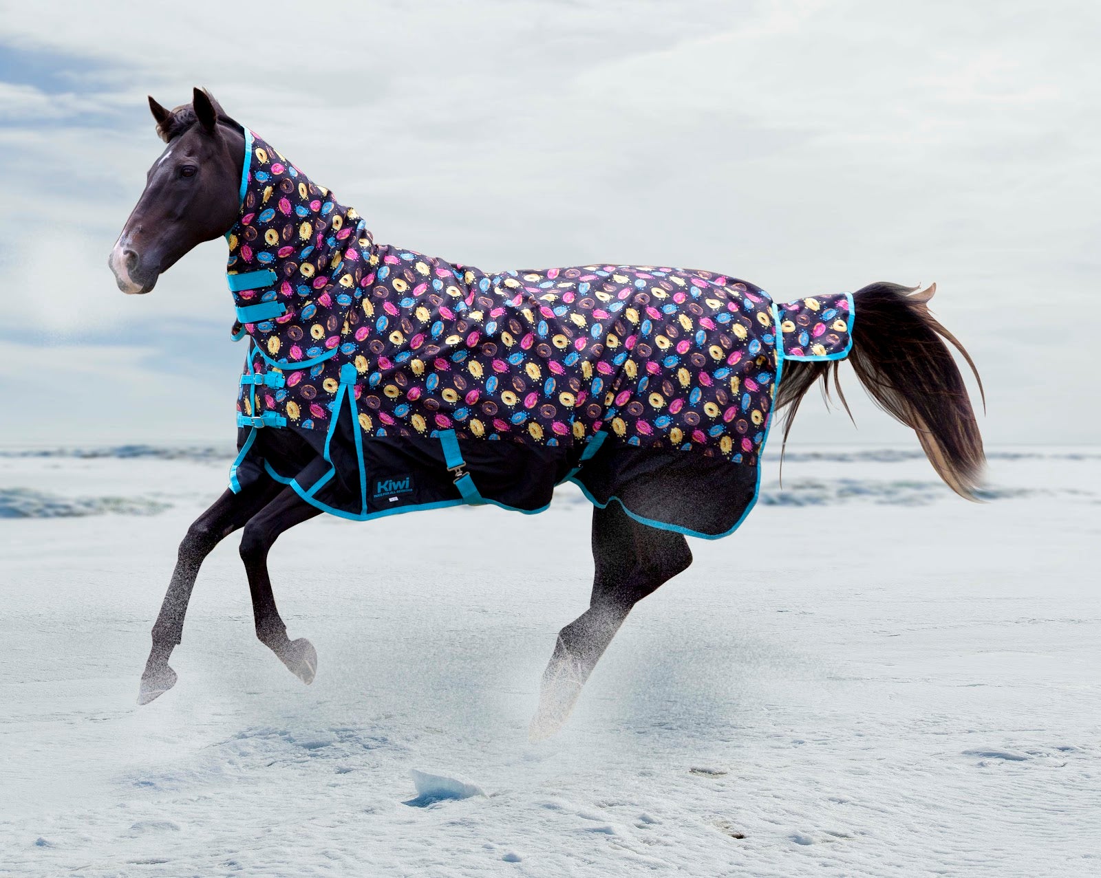 Kiwi 600 Donut Combo 100g%