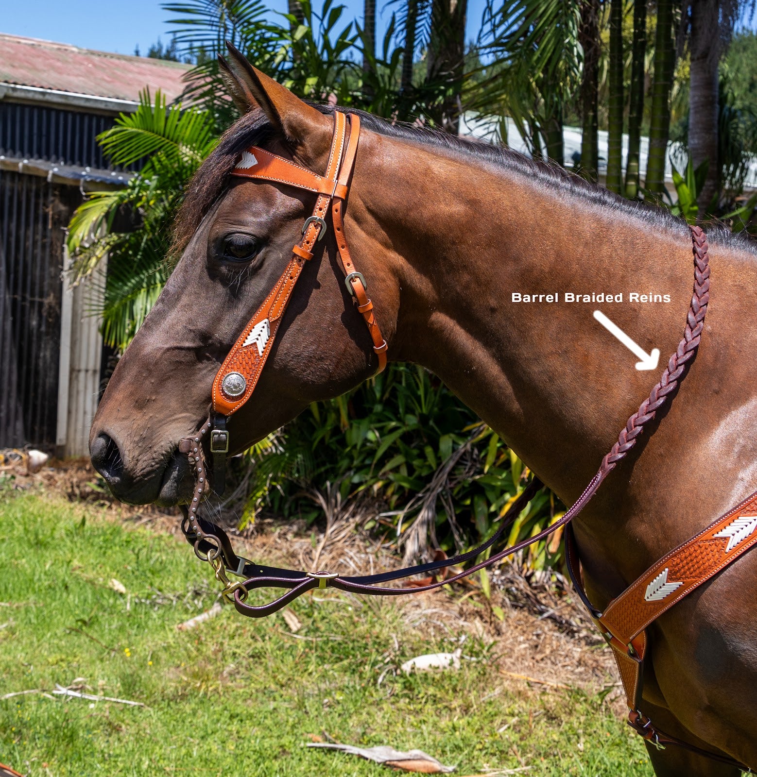 Barrel Laced Reins