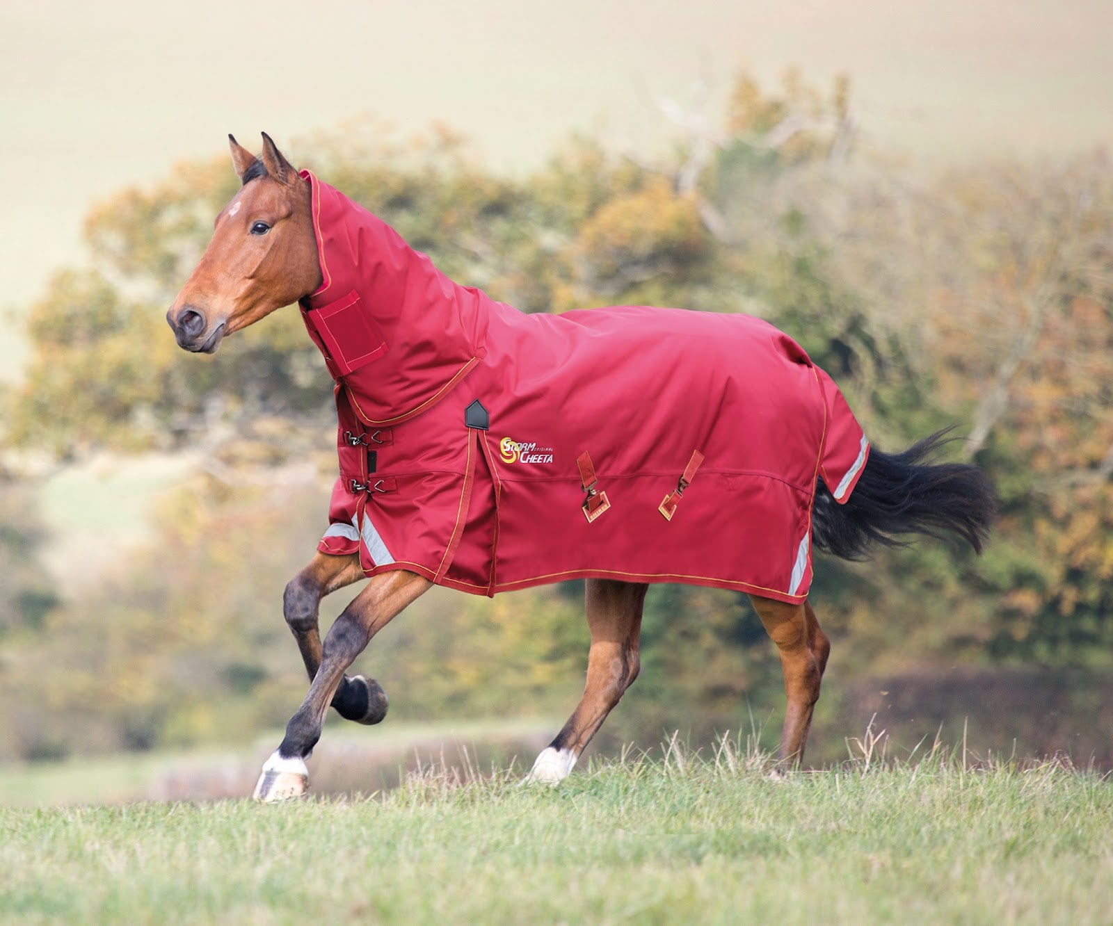 Shires StormCheeta Combo 300g%