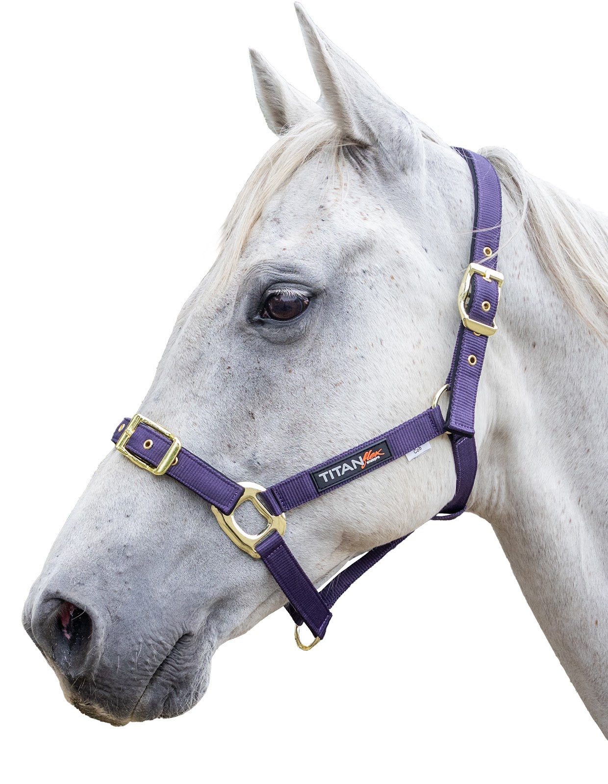 EnzoPro TitanFlex Halter