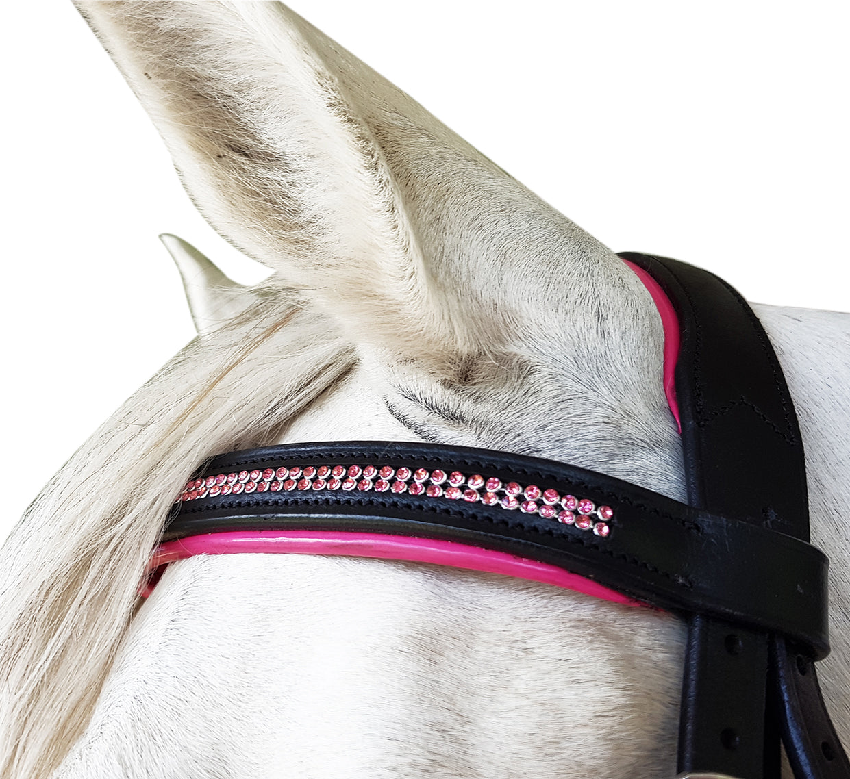 Prima Padded Diamante Bridle%