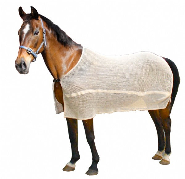 Kiwi Anti Sweat Mesh Rug%