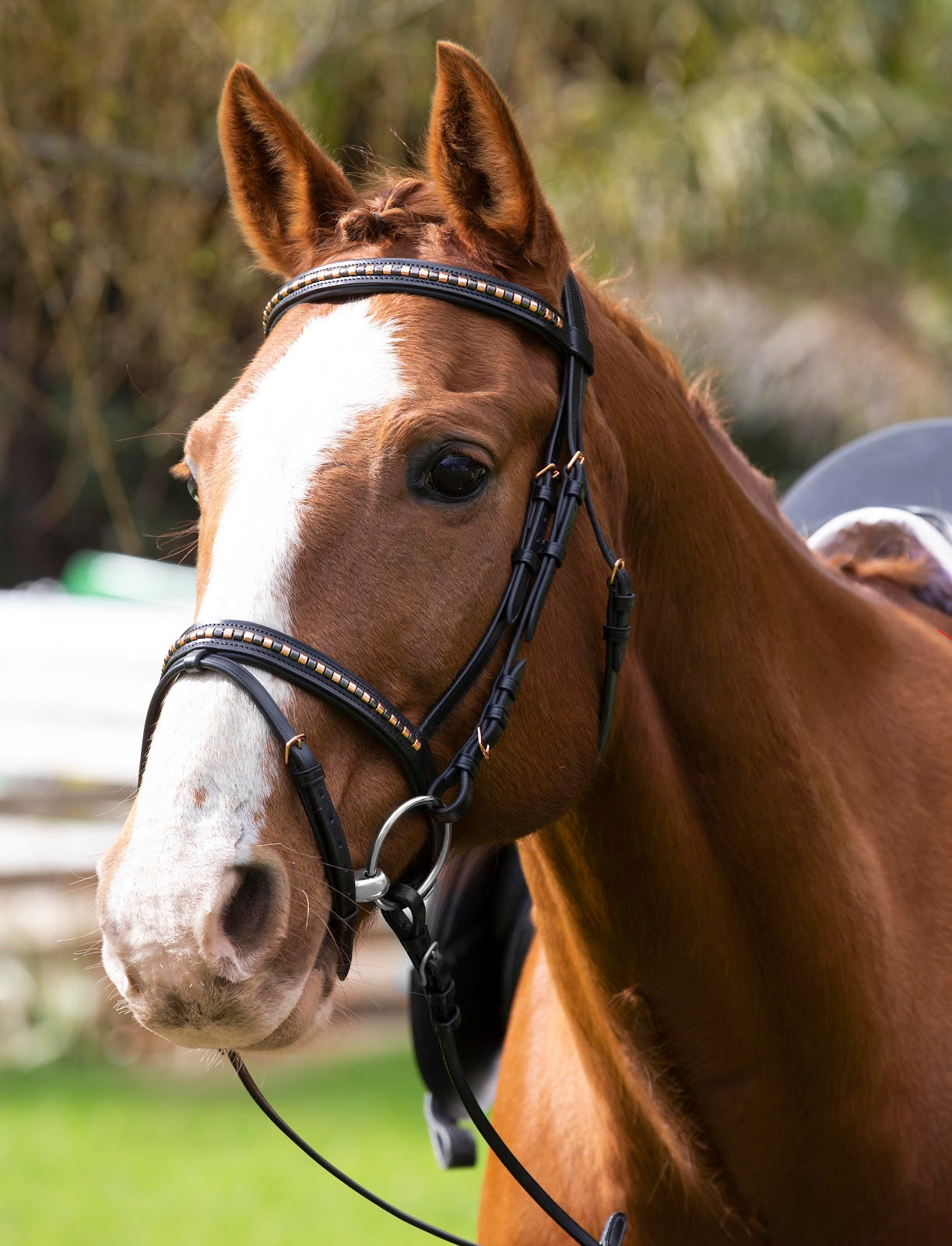 Enzo Amy Rosegold Clincher Bridle%