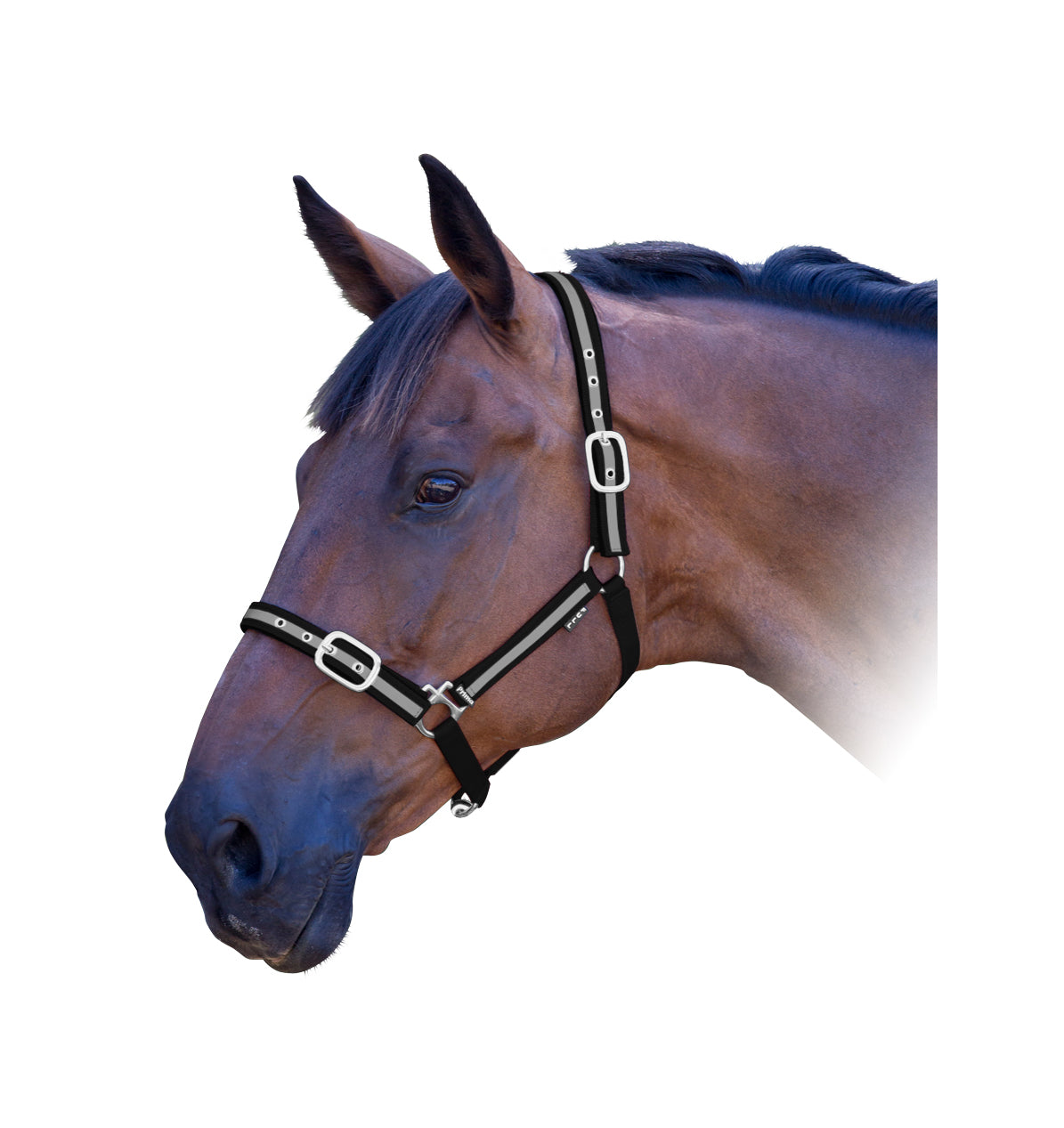 Prima Reflective Ribbon Halter