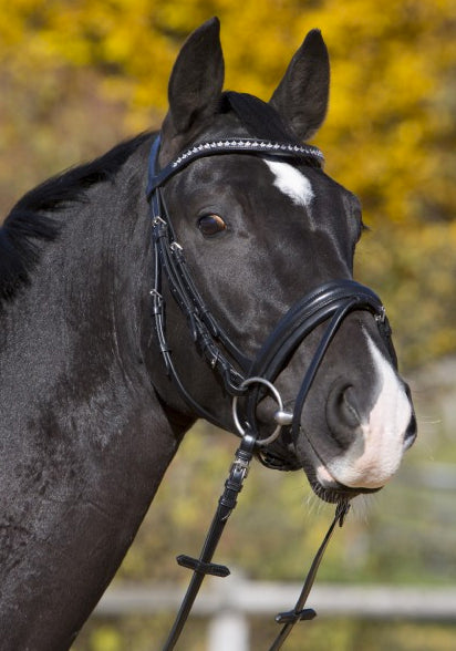 H&P Snaffle Bridle Ashley%