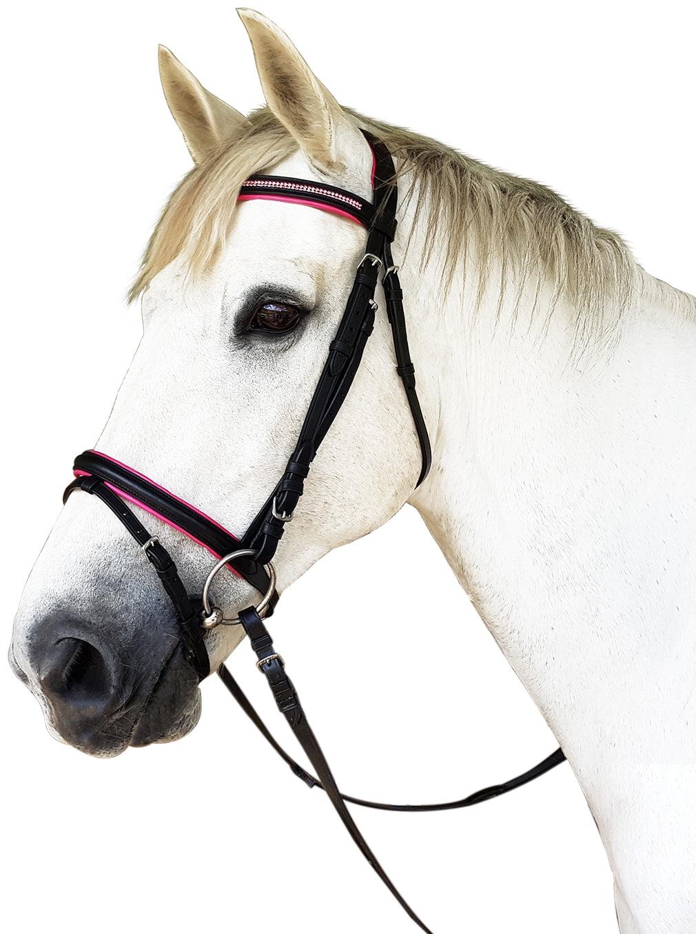 Prima Padded Diamante Bridle%