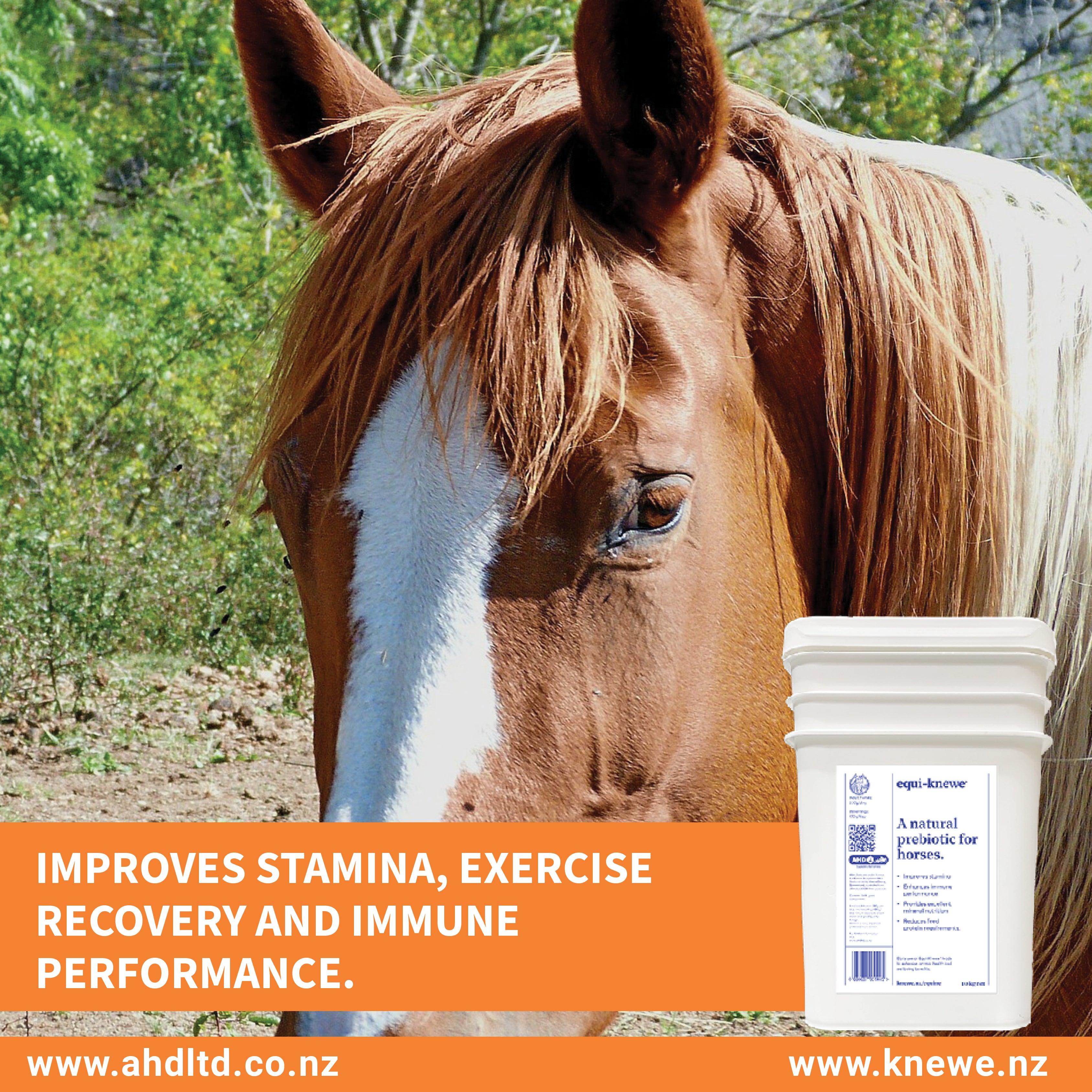 AHD Equi-Knewe (10kg)