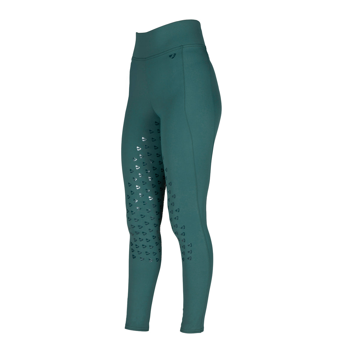 Aubrion Eltar Riding Tights - Young Rider