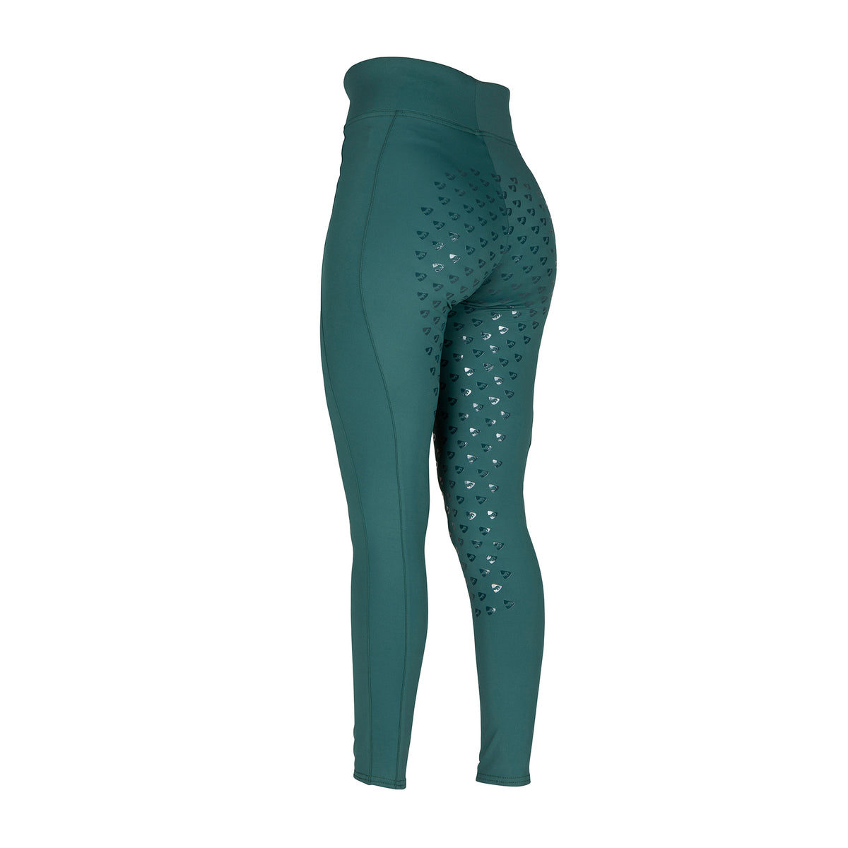 Aubrion Eltar Riding Tights - Young Rider