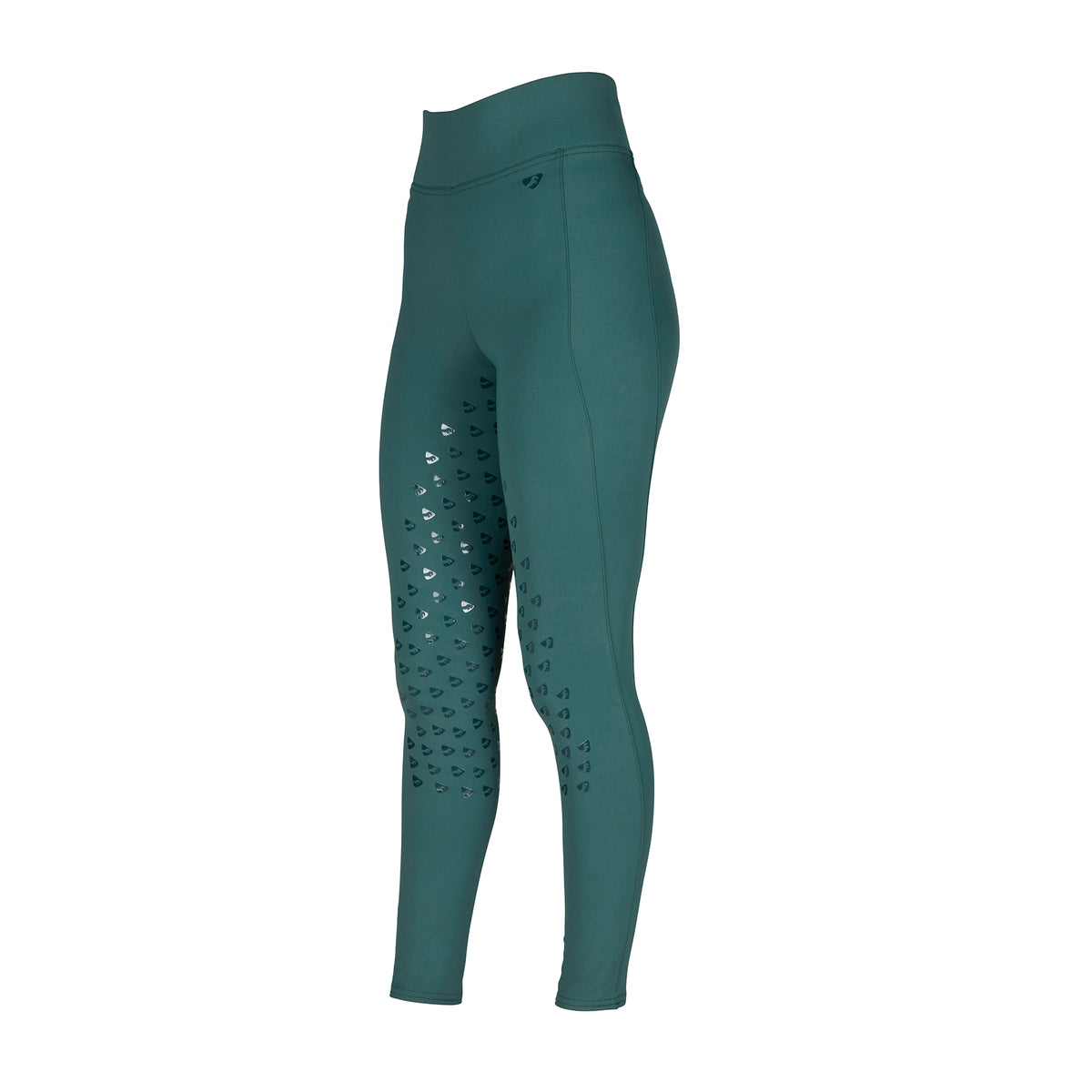 Aubrion Eltar Riding Tights