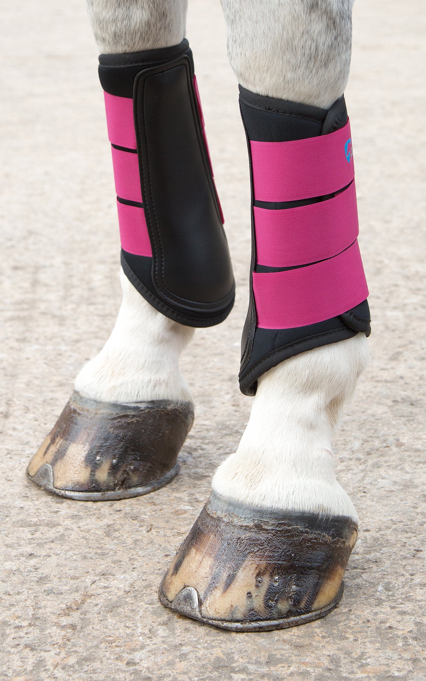 Shires Neoprene Brushing Boots Black / Full