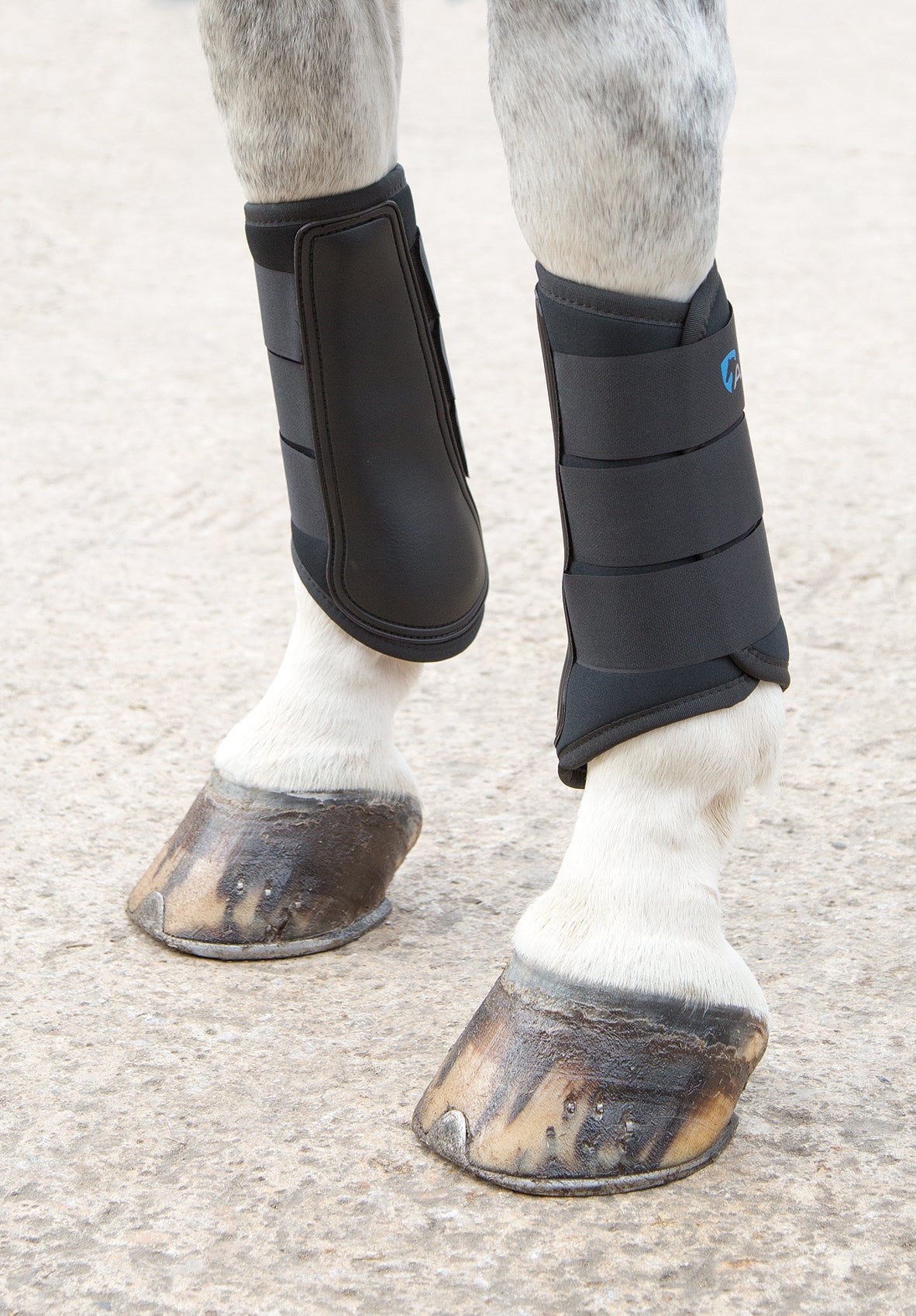 Shires Neoprene Brushing Boots Black / Full