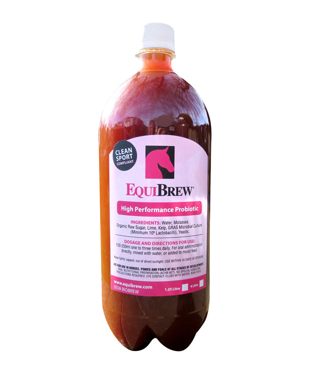 Equibrew Biobrew One / 1.25l