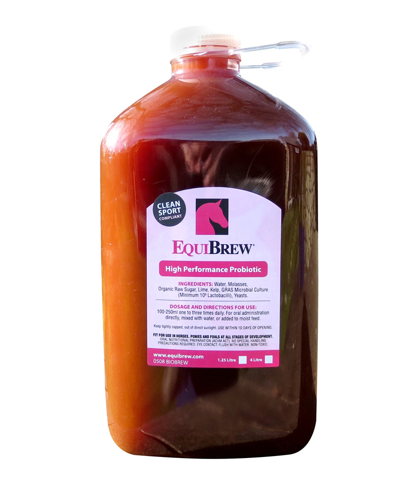 Equibrew Biobrew One / 1.25l
