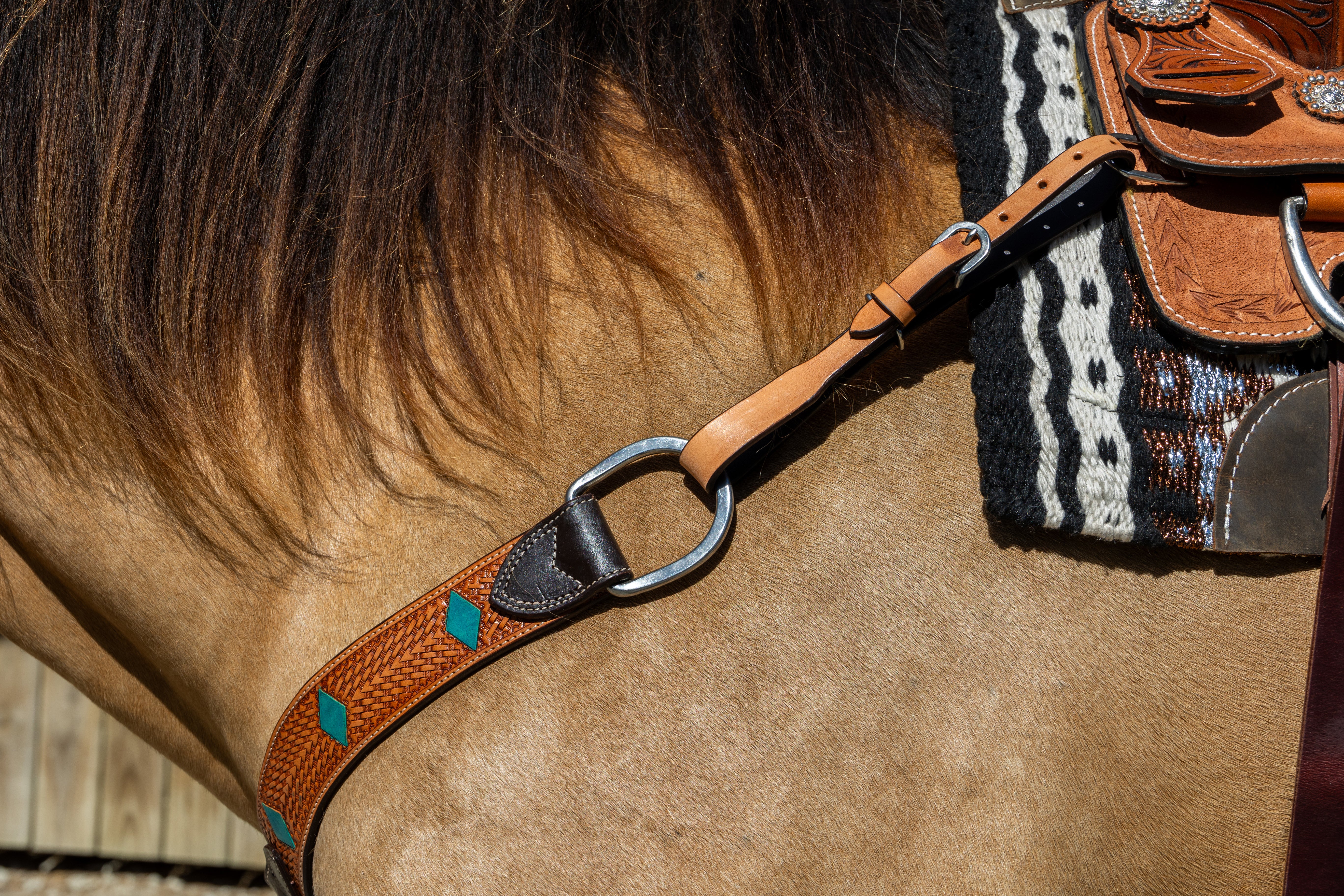 Origin Oregon Breastplate Leather