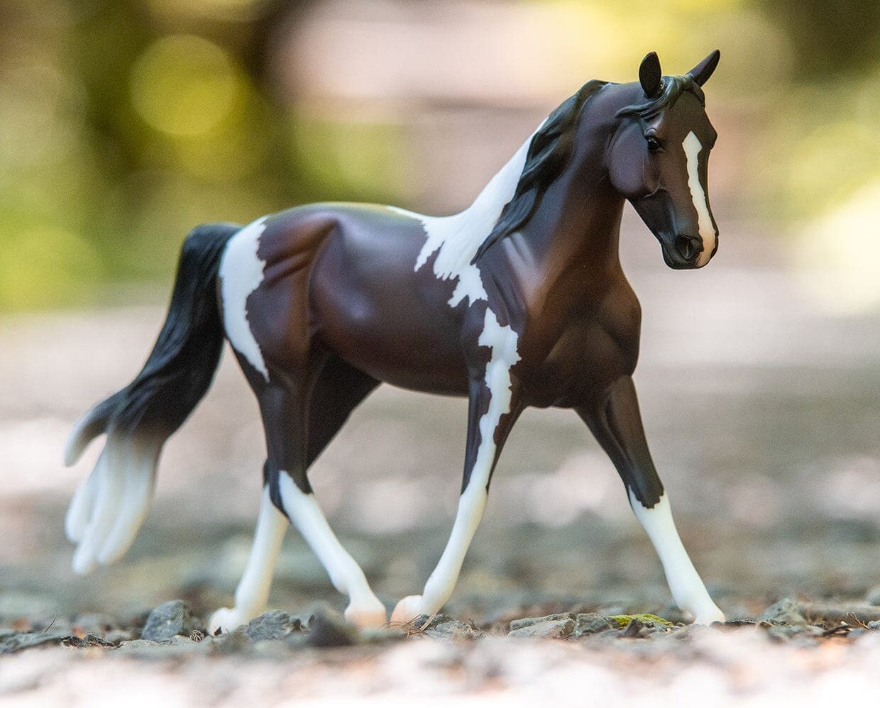 Breyer Pinto