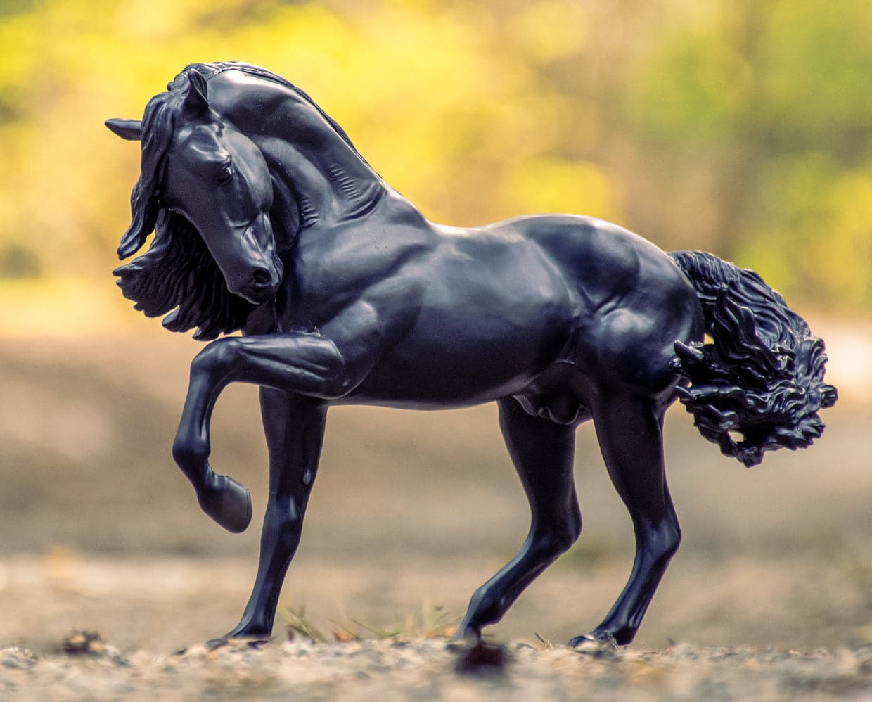 Breyer Sjoerd - Friesian