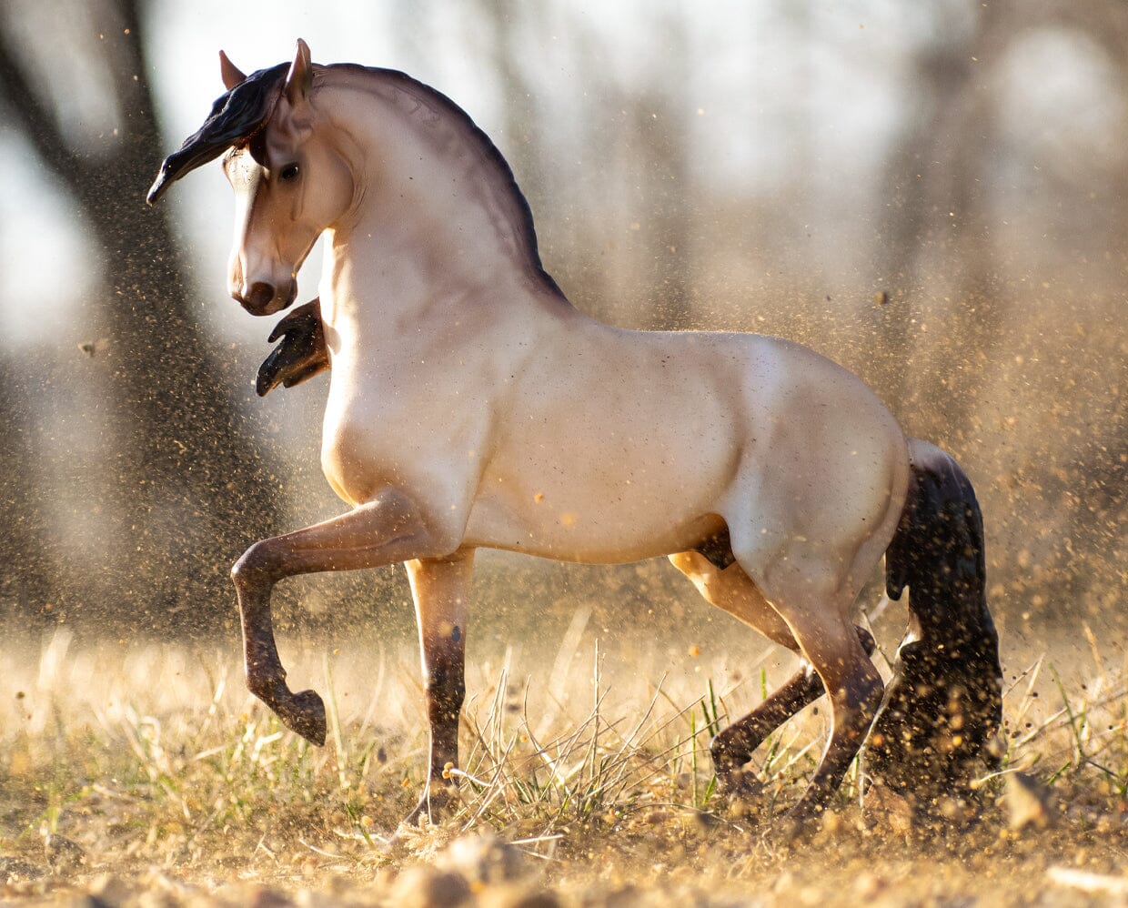 Breyer Cossaco - Lusitano
