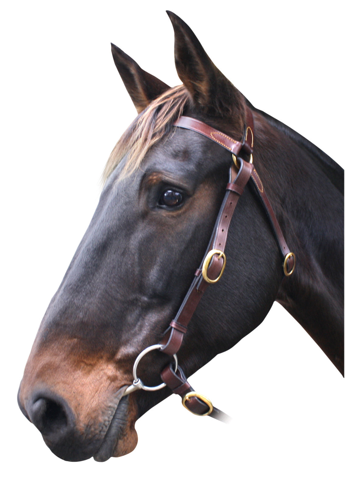 Origin Barcoo Bridle w/reins One / Cob