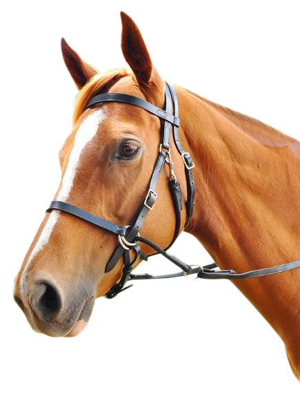 Enzo Bitless Bridle Black / Full