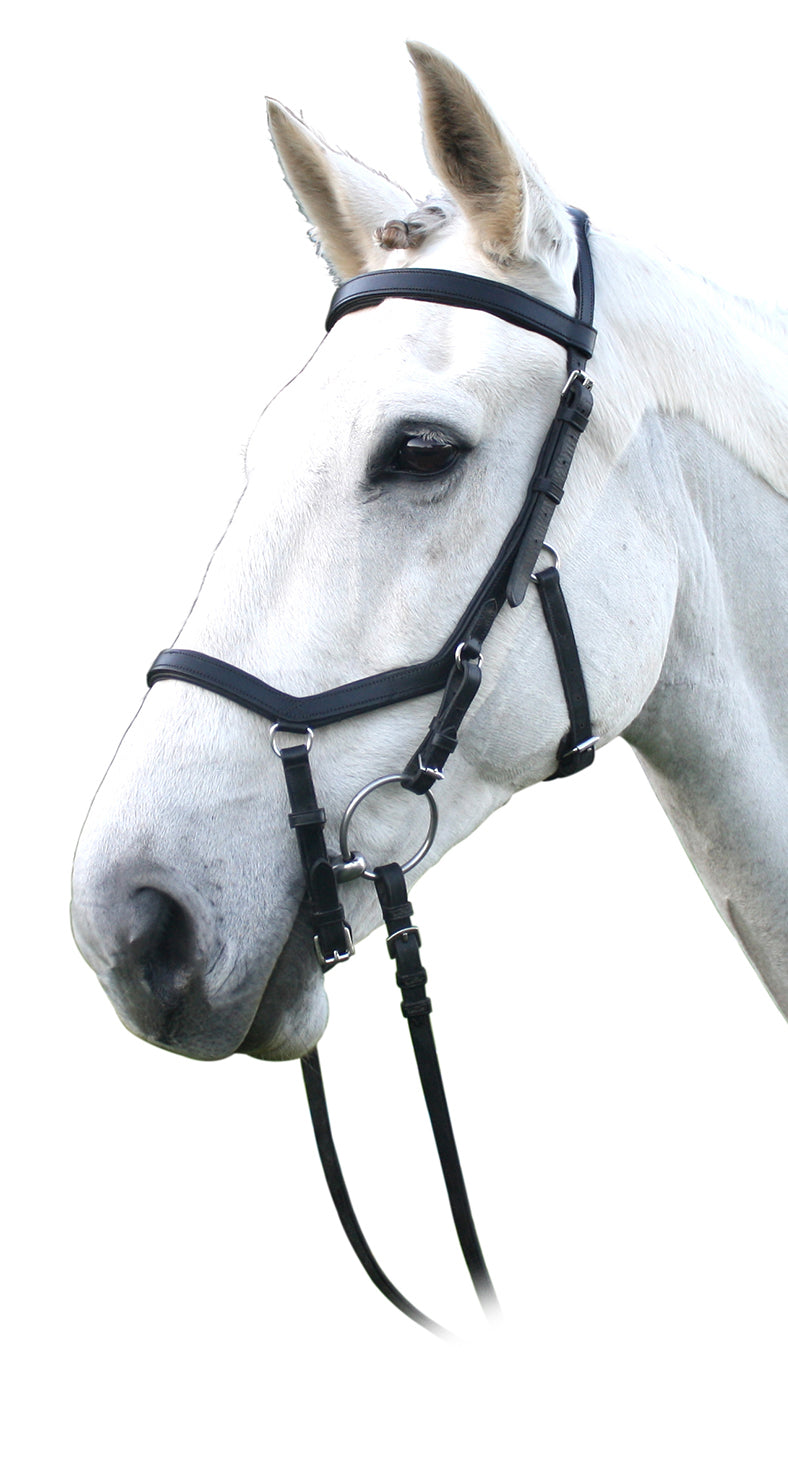Enzo Competition Bridle Black / Full