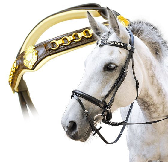 Enzo Crest Bridle Black / Cob