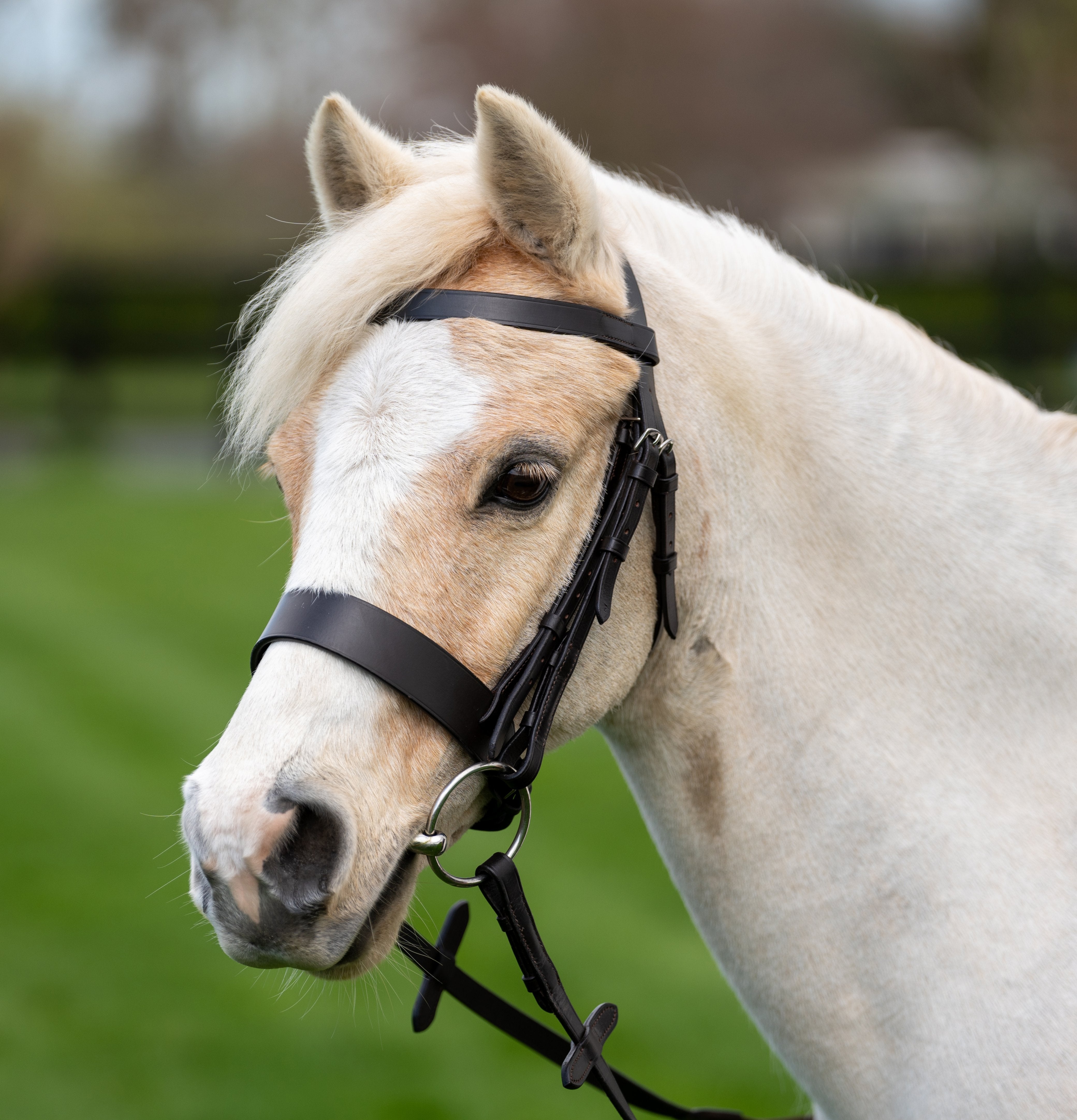 Enzo Hunt Wide Bridle Black / Cob