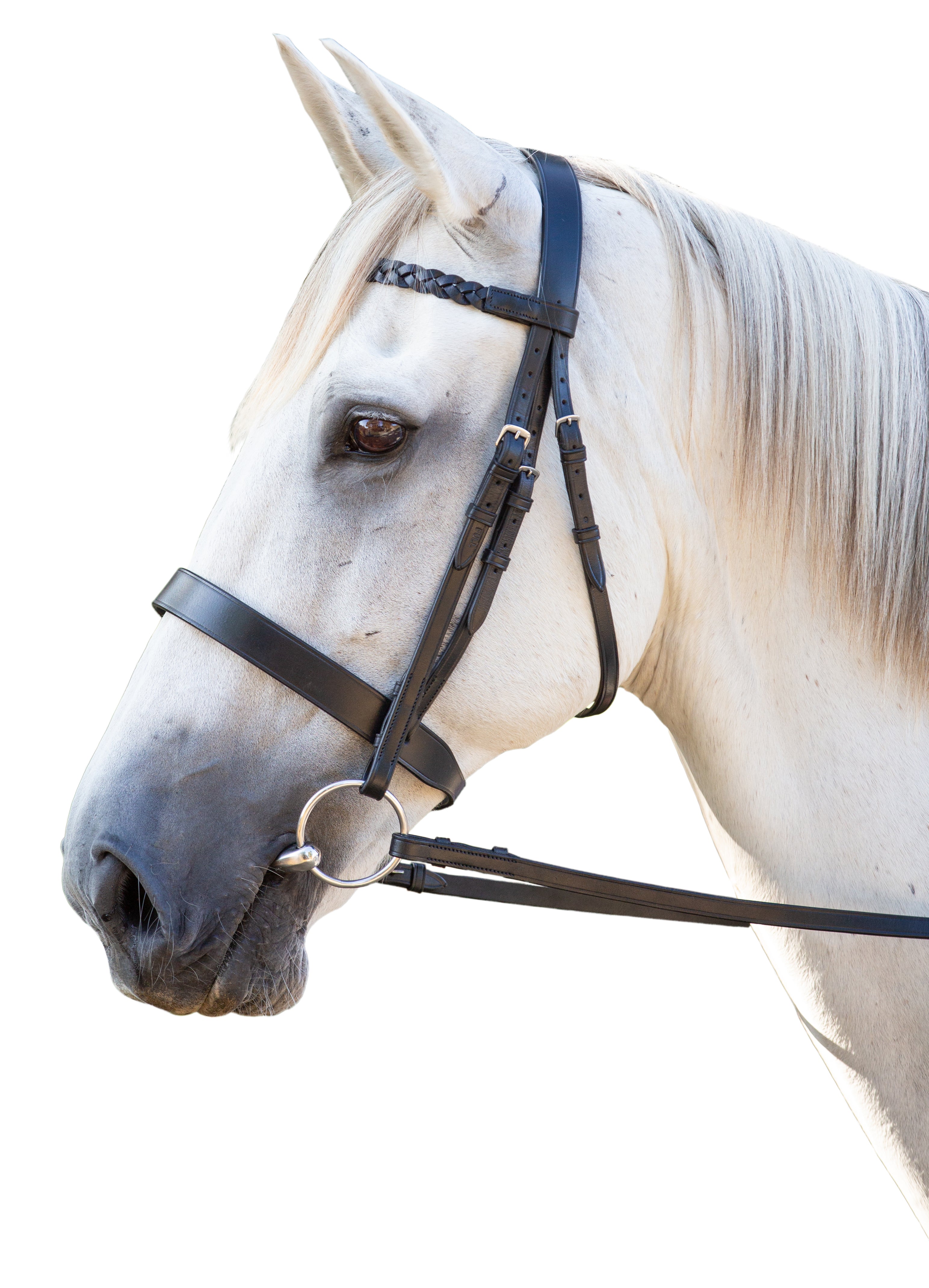 Enzo Hunter Bridle Black / Full
