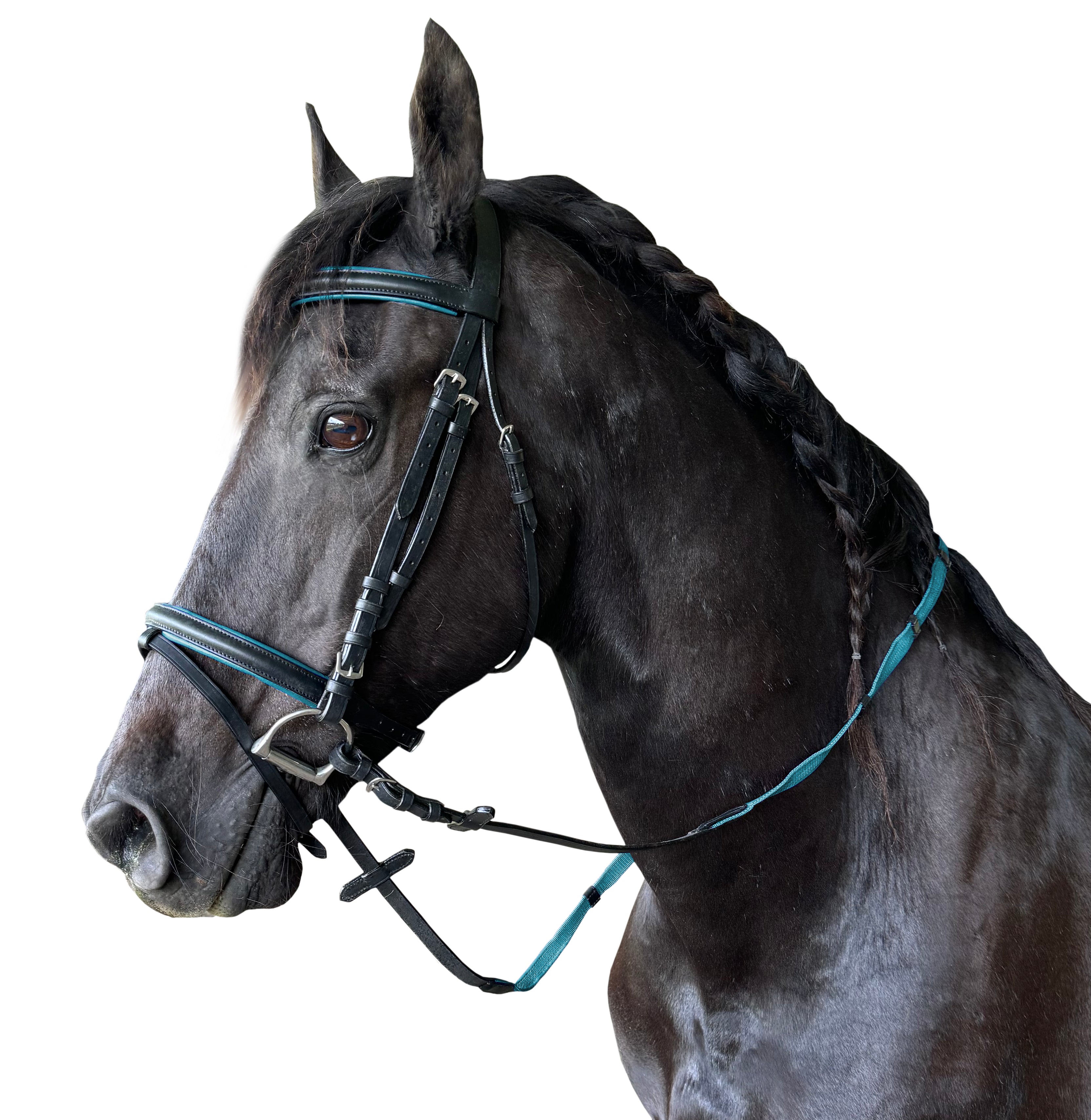 Enzo Lizzy Bridle Royal Blue / Cob