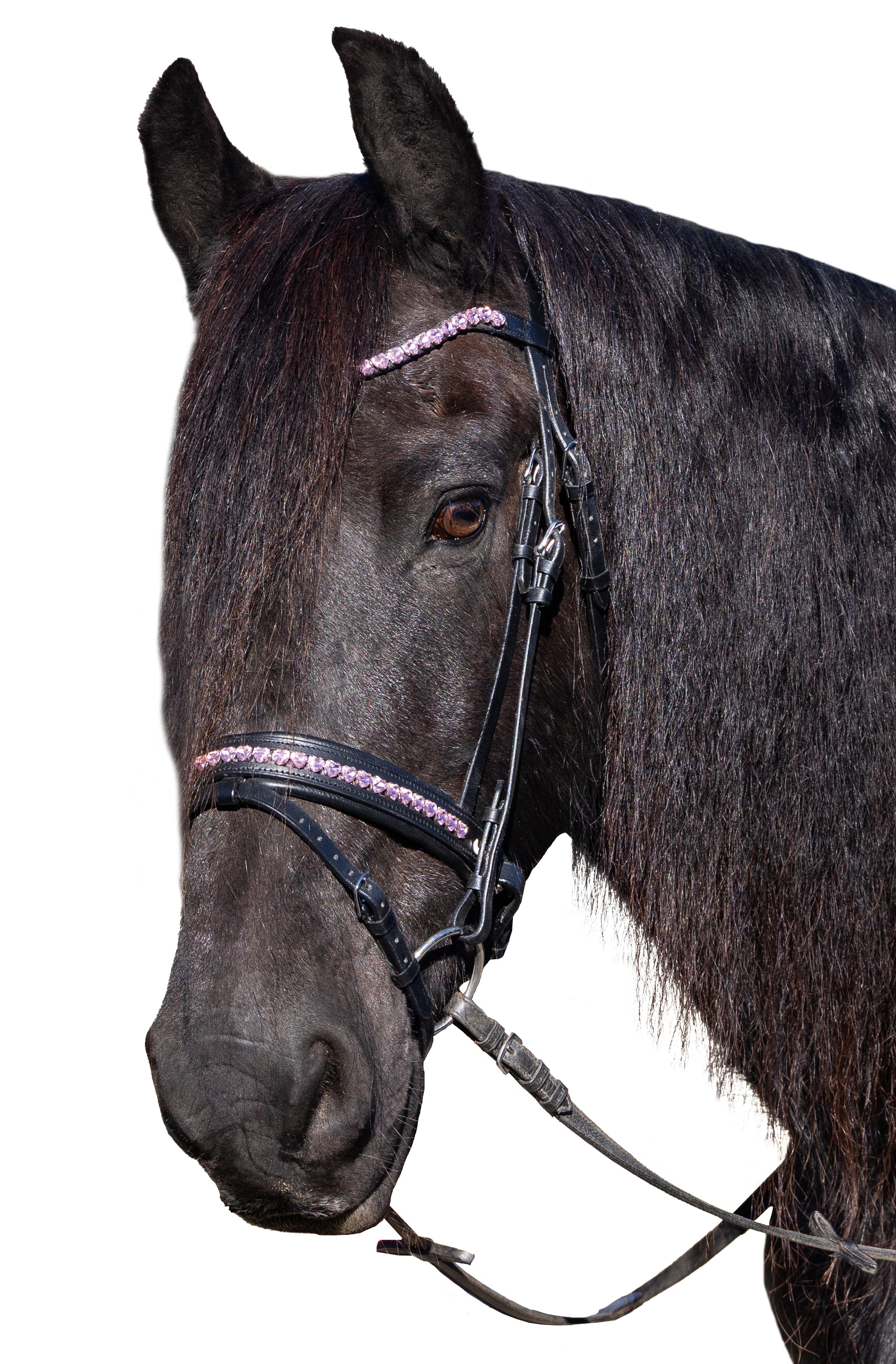 Enzo Siena Heart Bridle Black / Cob