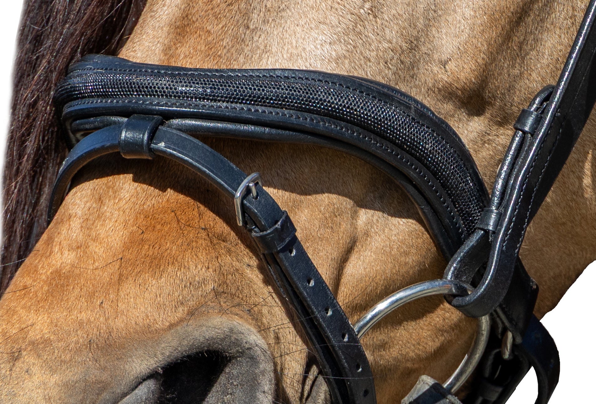Enzo Tivoli Glitter Bridle Black / Cob