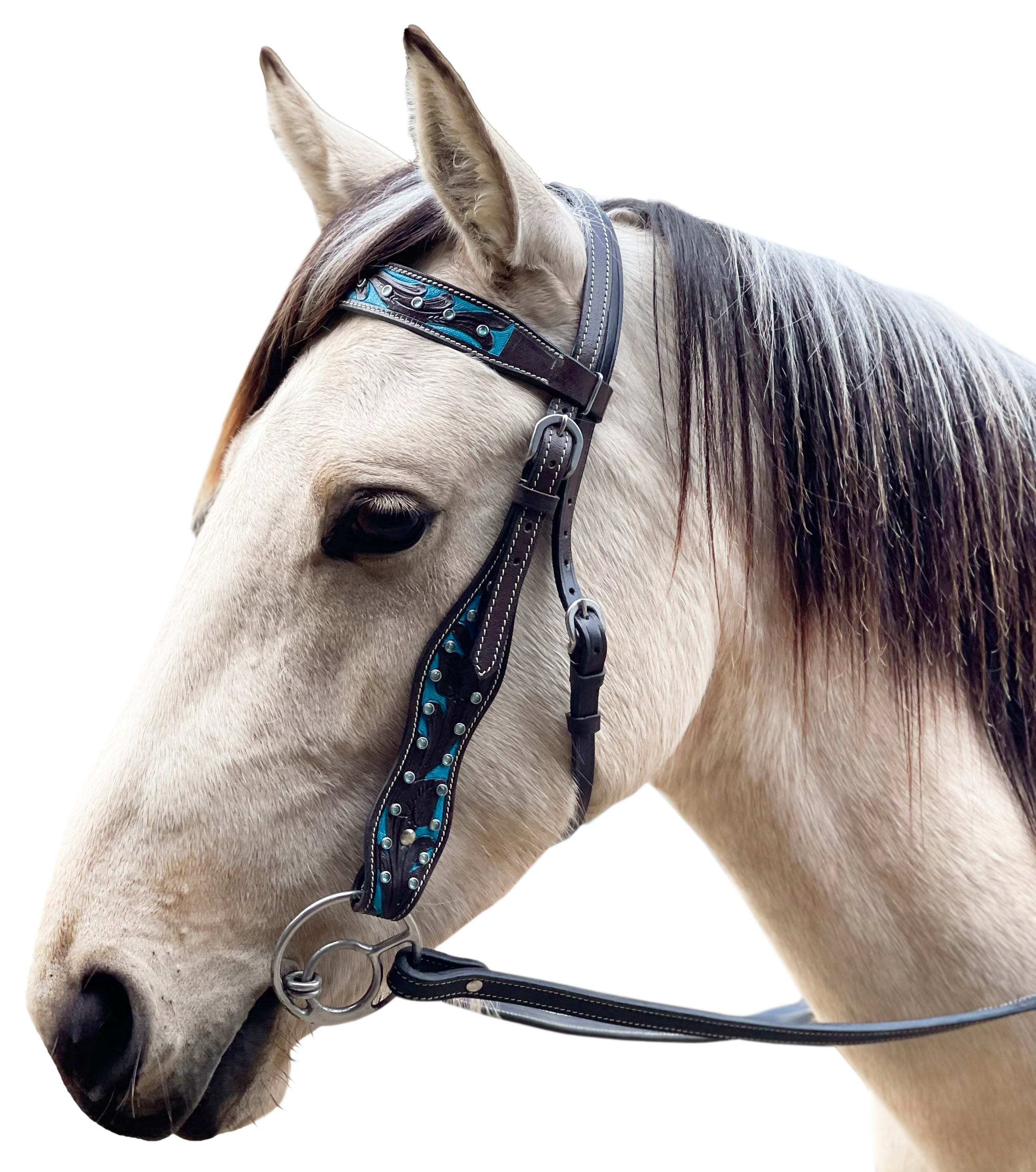 Origin Cody Western Bridle Blue / All