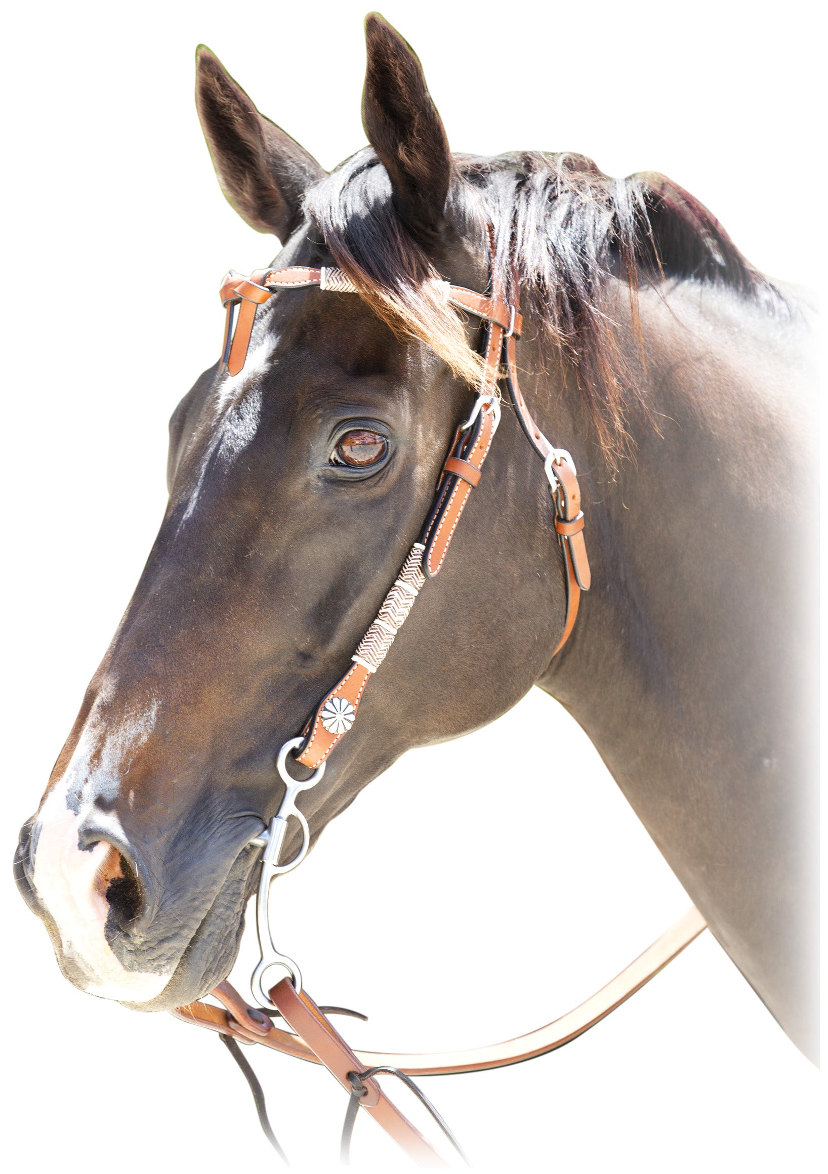 Origin A1 Western Rawhide Bridle