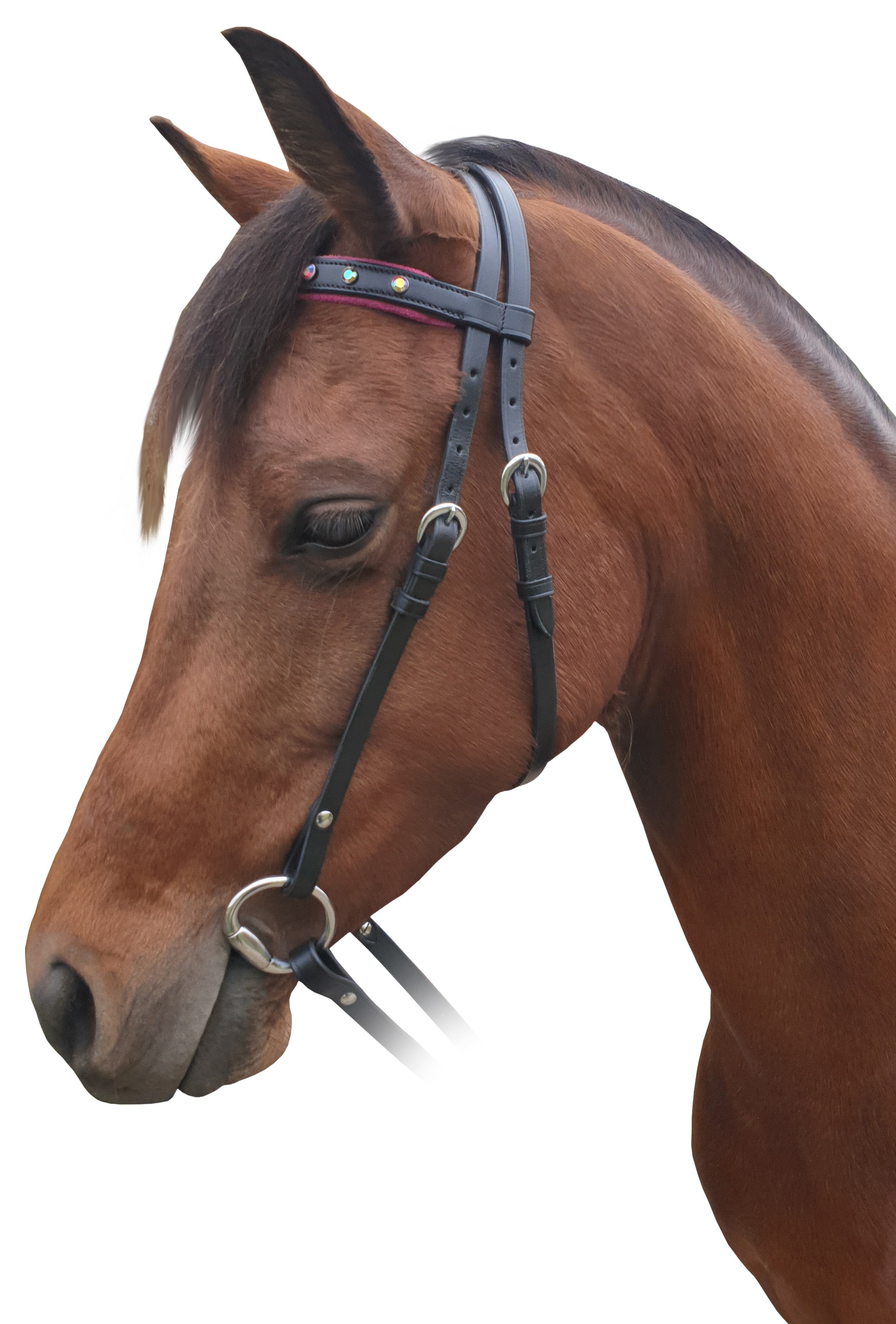 Origin Rio Bridle Blue / Pony