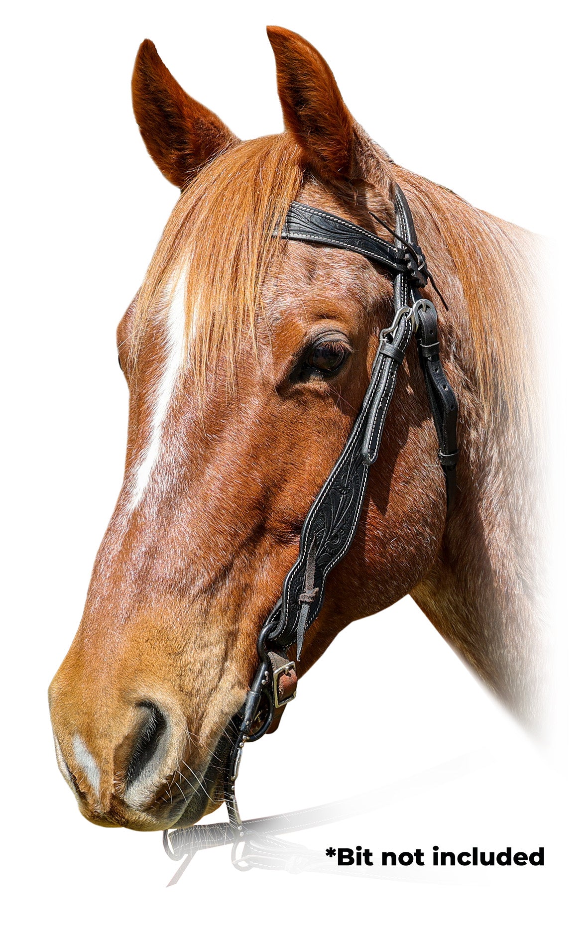 Origin Wade Western Bridle