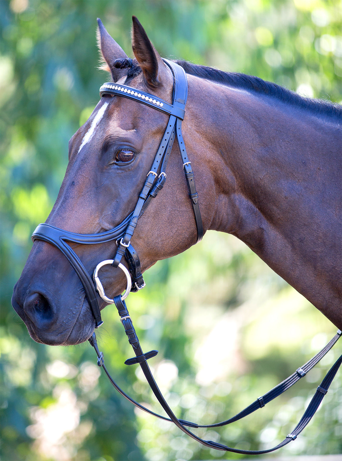 Enzo Sophia Deluxe Bridle Black / Cob