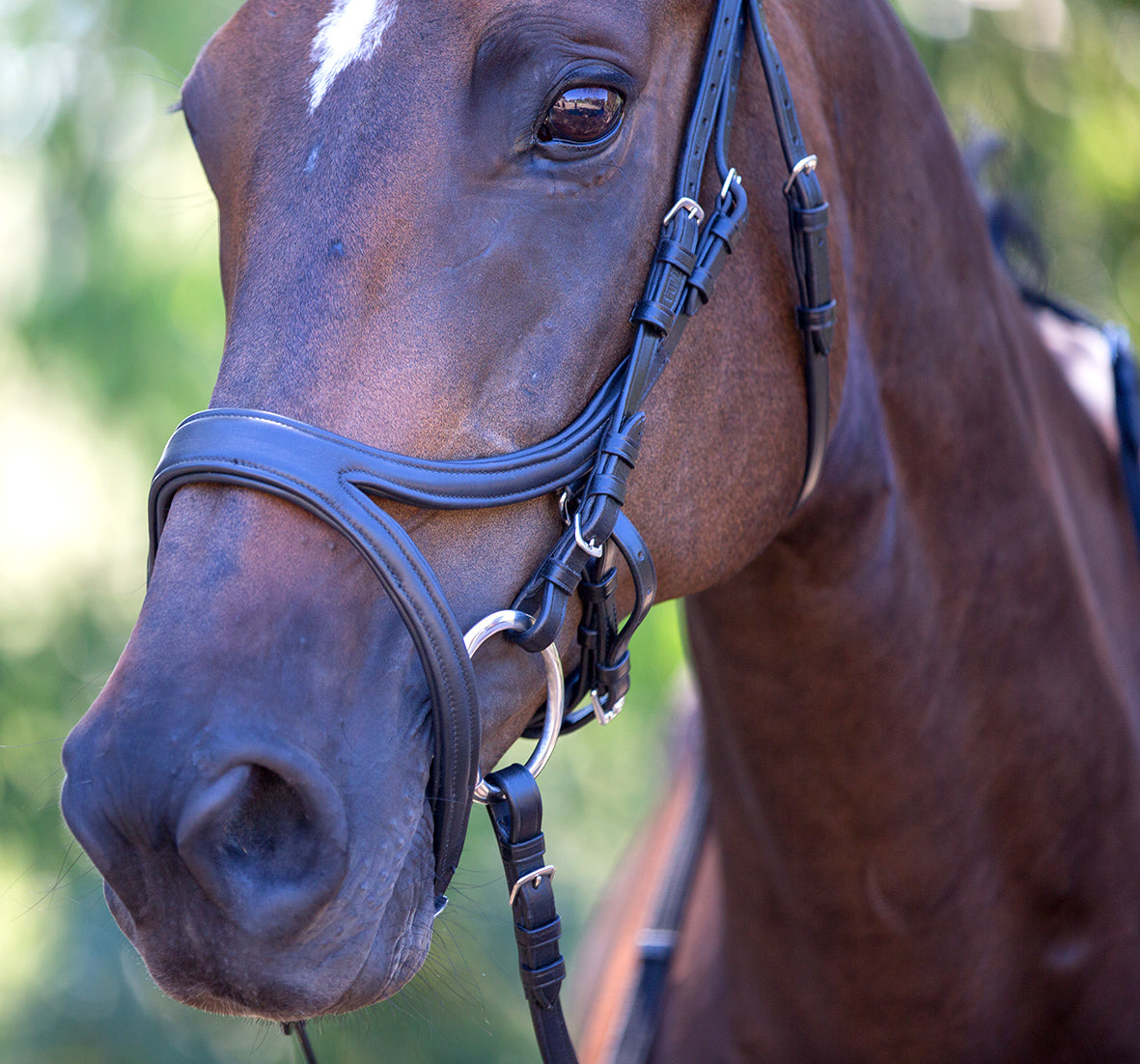 Enzo Sophia Deluxe Bridle Black / Cob