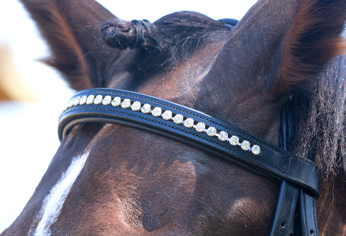 Enzo Sophia Deluxe Bridle Black / Cob