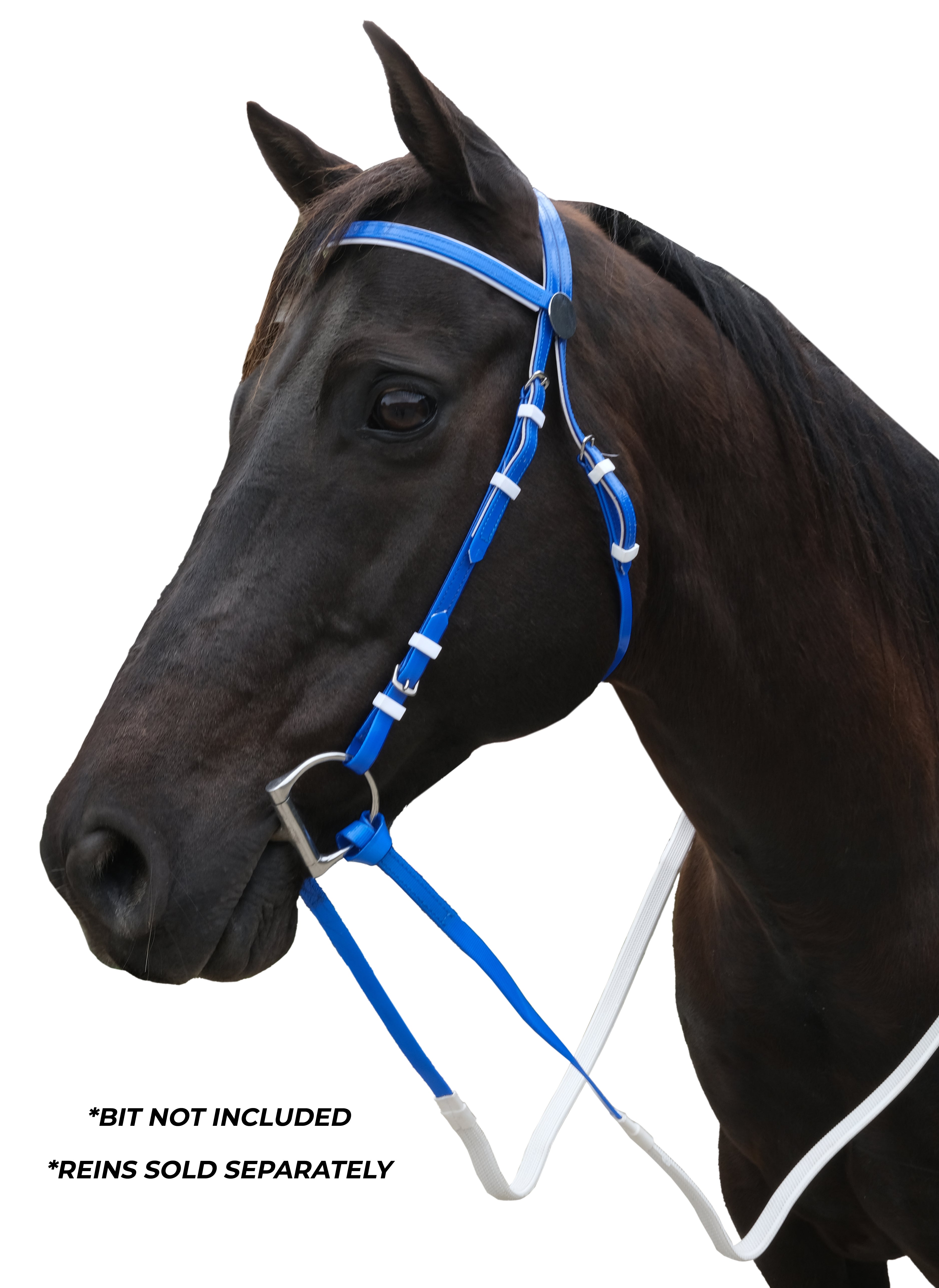 Stride Race Head Bridle Black/White / Full